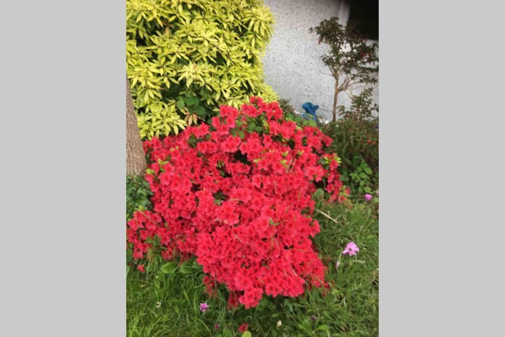 Lovely 3 Bed House Close To Carlyon Bay Beach! Экстерьер фото